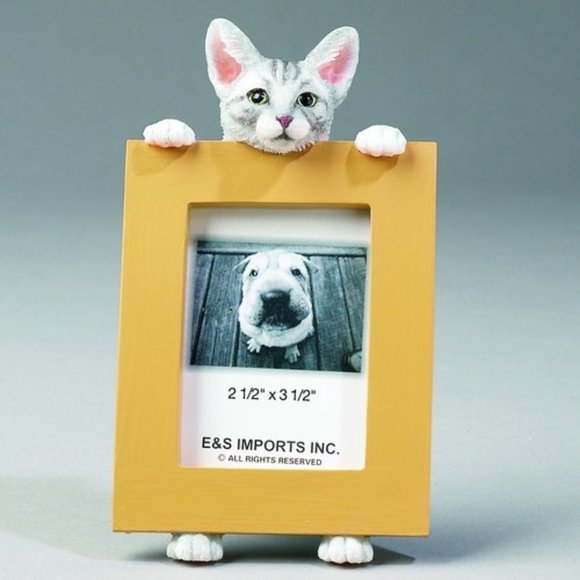 Tabby Cat silver Picture Frame - Picture 1 of 1